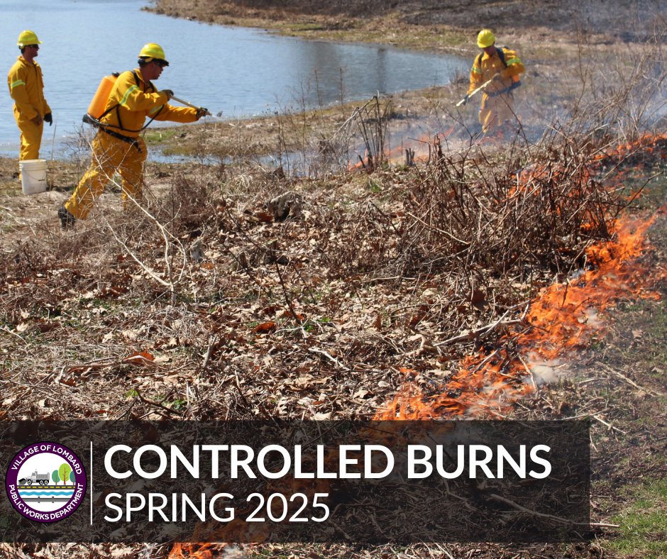 🔥 Lombard Public Works, in partnership with Bedrock Earthscapes, is conducting controlled burns TODAY starting at 10:30 AM at multiple locations to support healthy native vegetation.  Details at villageoflombard.org/334/Controlled…