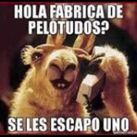 AGallvitz's tweet image. 