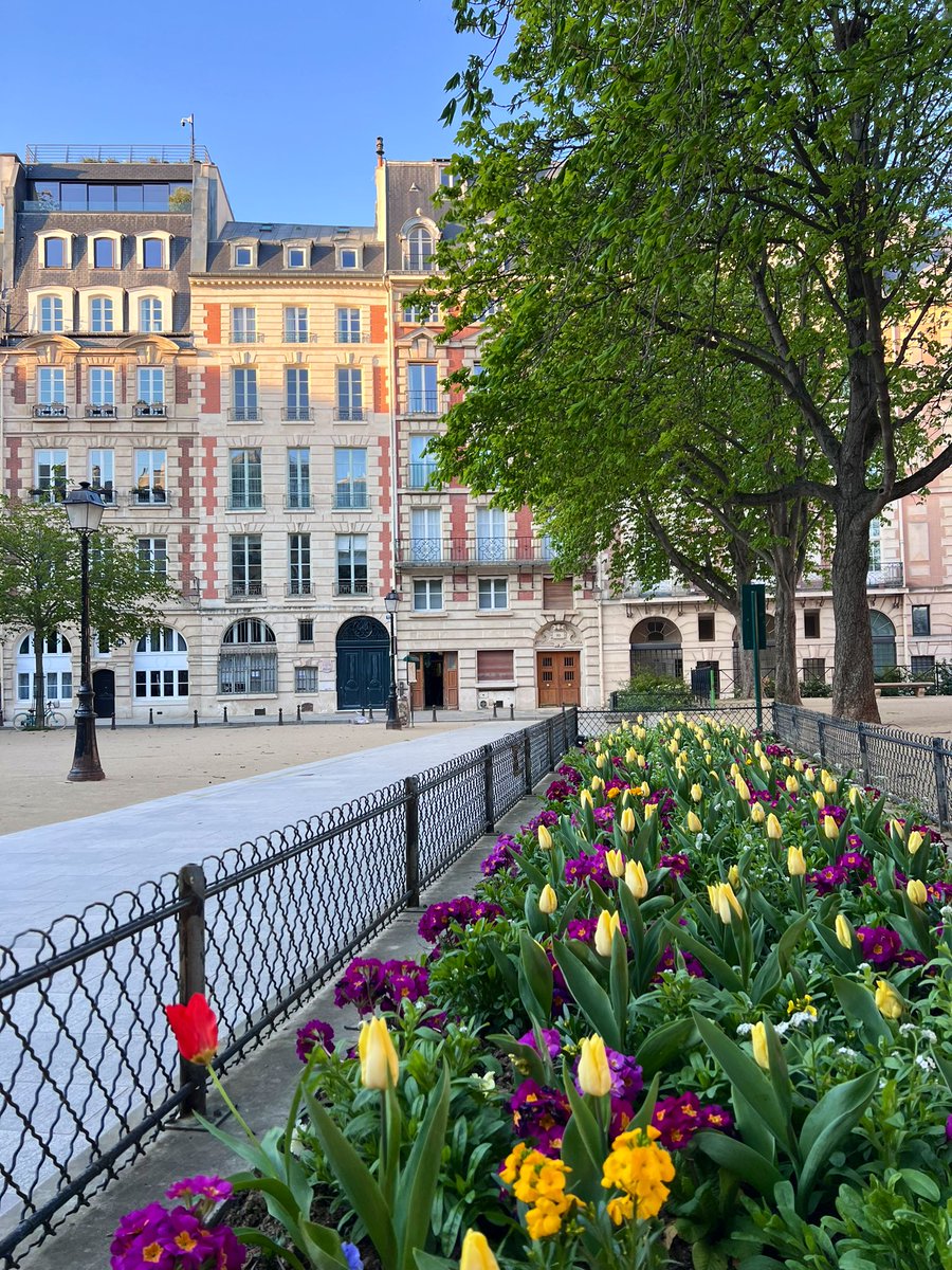 OliverTweete 🦊 tweet media