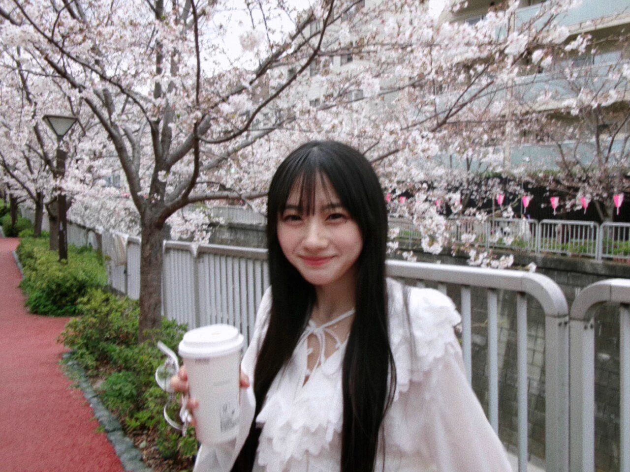 乃木坂46 on X: 