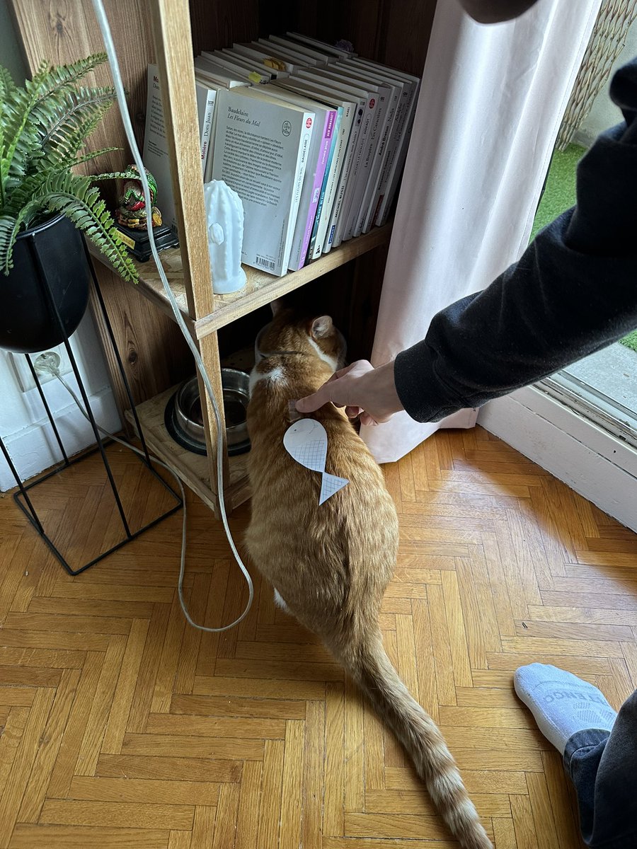 ultrahortensia's tweet photo. il se doute de rien 🤣🤣 !!!!!! 😂😂😂🤣🤣🤣 #poissondavril https://t.co/tD2UOQkfOa