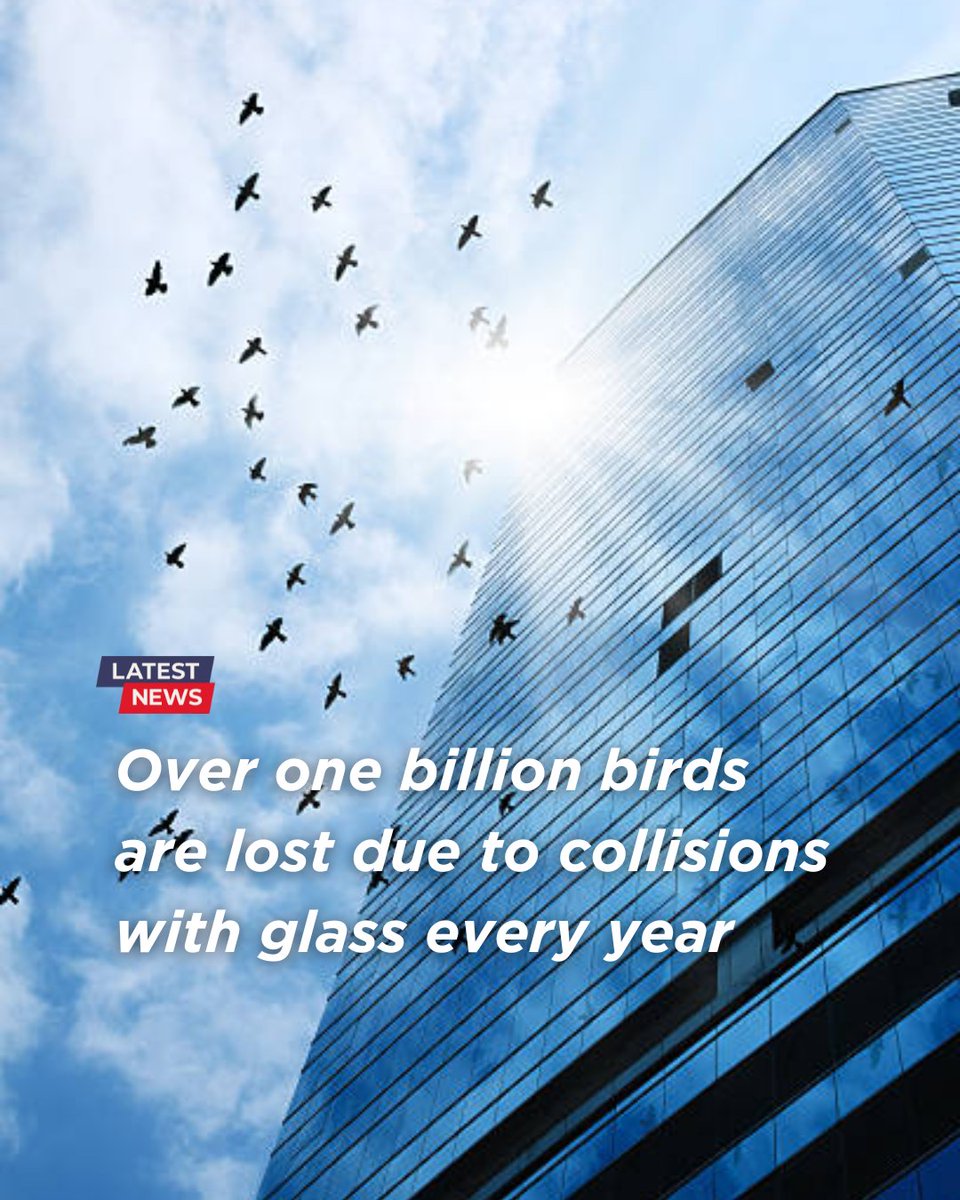 HiRISE WINDOWS tweet media