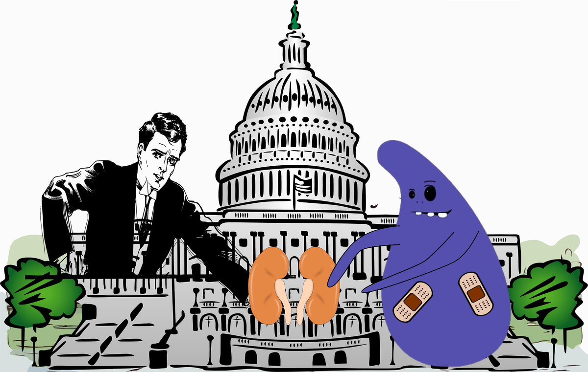 Sold my last kidneys to buy $Barba with #IOTA!🚀