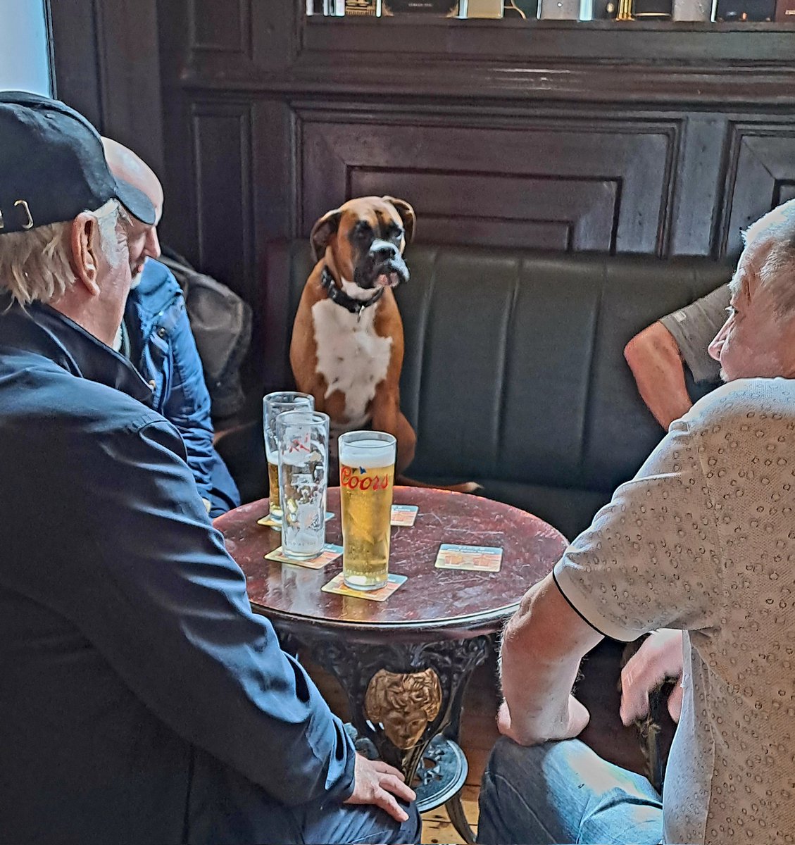 One of my favourite pub photos I've ever taken, Molloy's on Talbot Street.