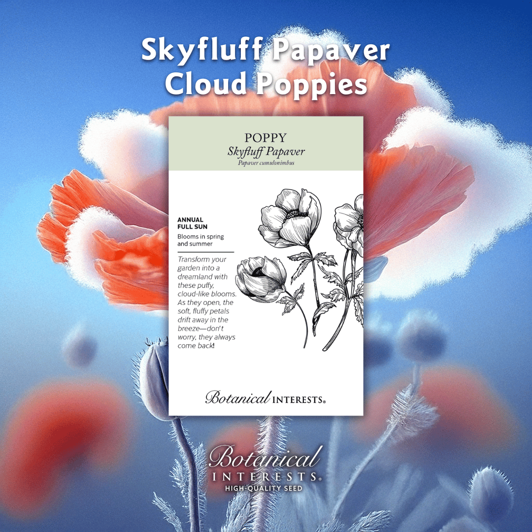 Botanical Interests 🌻 tweet media