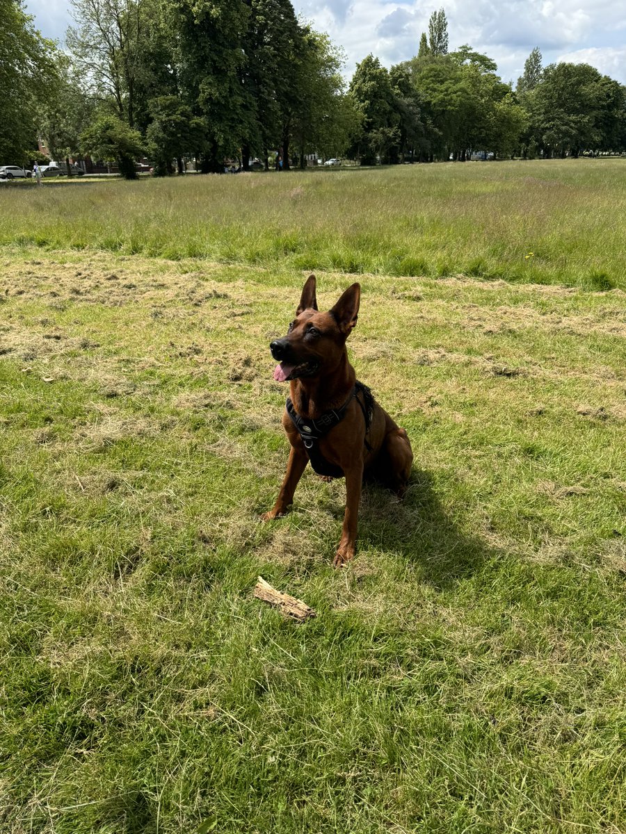 Luke Edwards tweet media