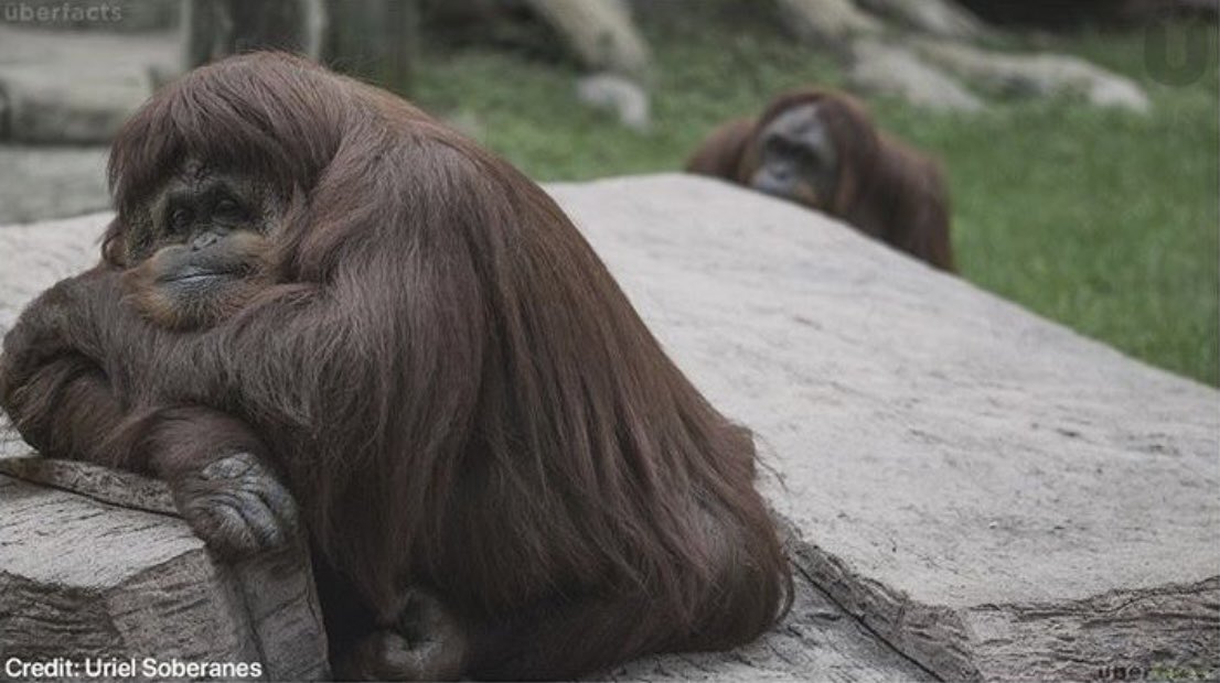 Quand t’es là , à te demander pourquoi elle te fait la gueule , et que elle , elle le sait