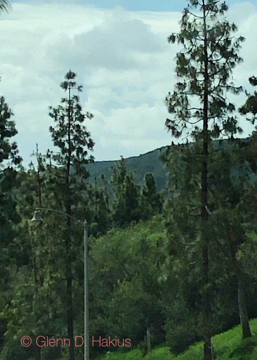 GHakius's tweet photo. @chriz31_07 Southern California… https://t.co/QRKX8VBylD