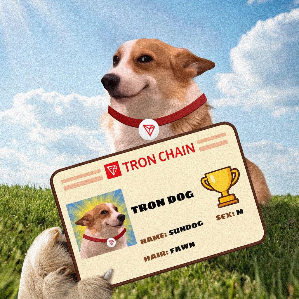 SUNDOG_TRX's tweet image. We’re teaming up with @TronMemeSZN for a cross-community airdrop campaign.

20 winners will be randomly selected to receive $50 in $SZN - just drop “Tron $SZN” in the comments below to enter.

🗓️ Campaign runs for one week only.
🏆 Winners picked at random
❌ No bots or farming.…