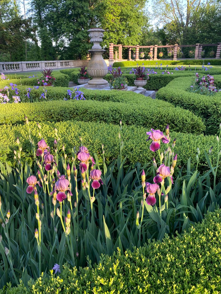 FDU Silberman tweet media