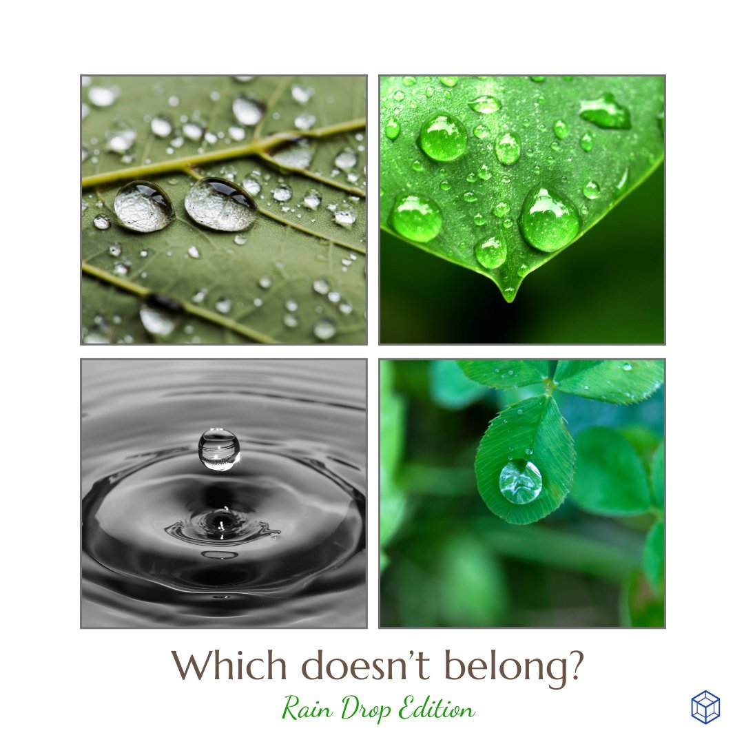 amtnj's tweet image. It's "Which Doesn't Belong" Wednesday! Notice the pictures. Which is unique? #math #mathroutine #njteacher #njteachers #wodb #mathteacher #mathteachers #March #raining #marchmath