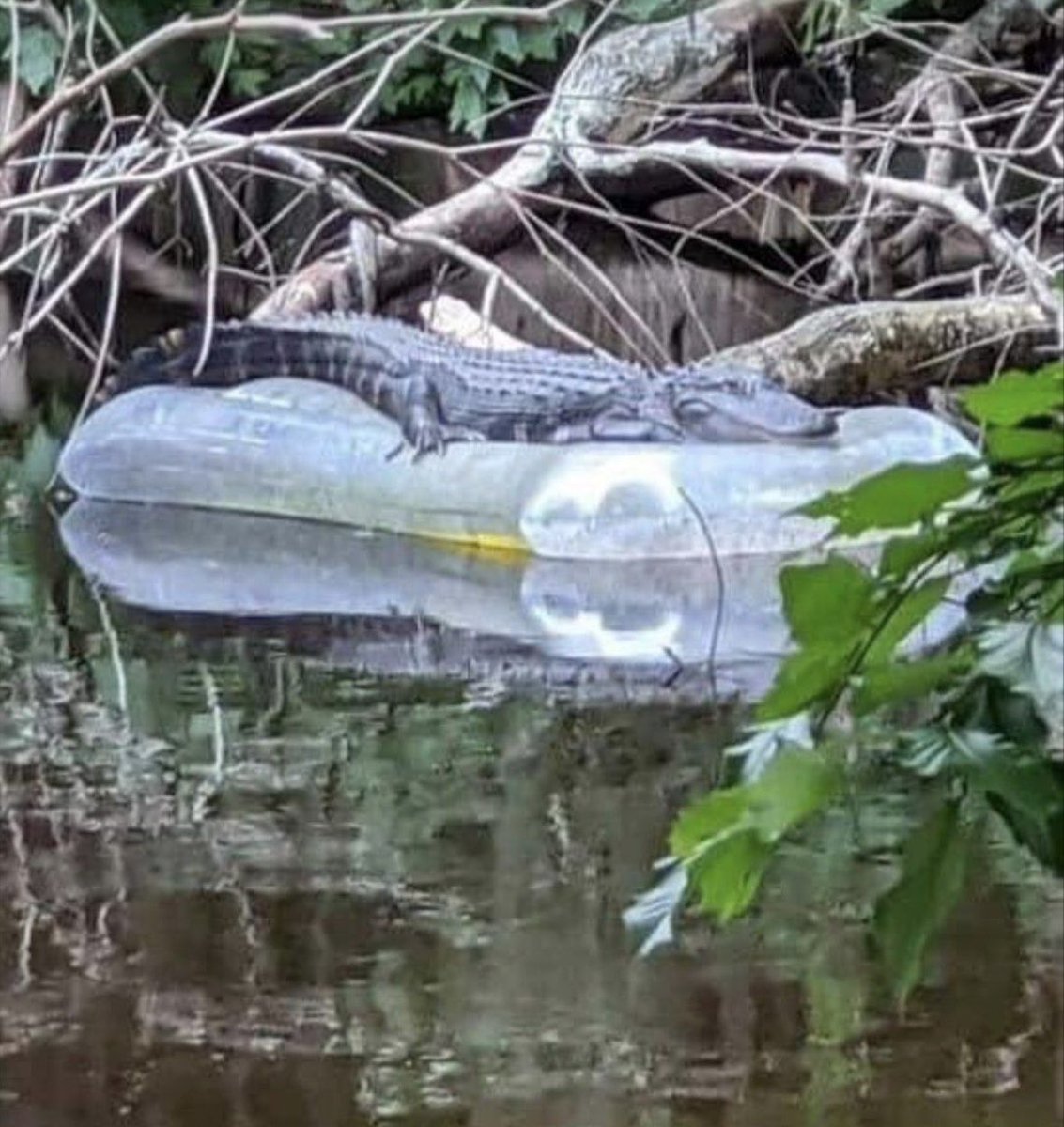 Je suis retombé sur une photo de mes vacances en Corse , près de Corte , magnifique c’est vrai , là c’est mon ex qui se prélassait sur son matelas gonflable , loin du stress et du train train quotidien