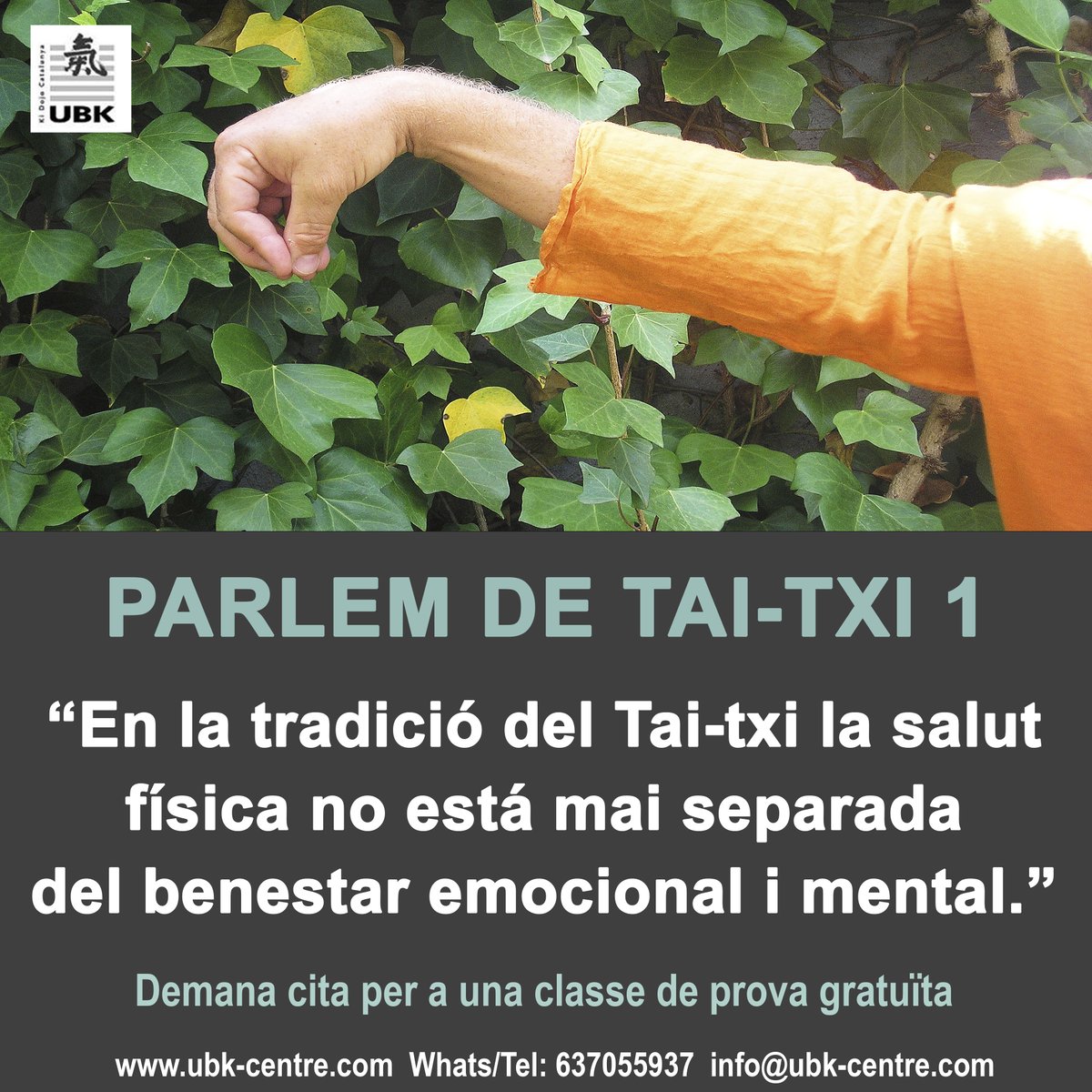 UBK Ki Dojo Catalunya tweet media