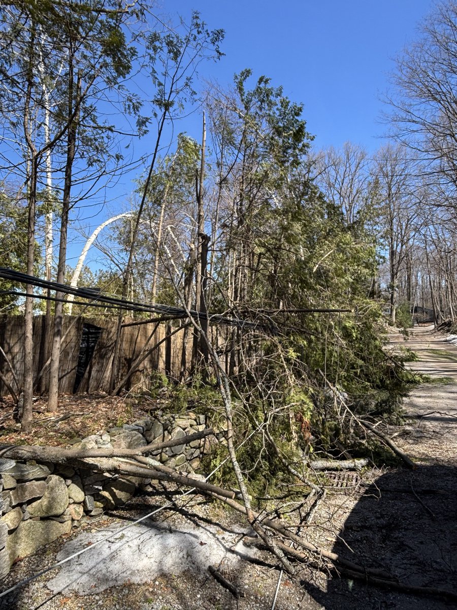 InnPower_'s tweet image. Please be sure to stay clear of down lines and any vegetation that may be in contact. 
Here are visuals of the damage being addressed in the Strathallan area.
 #Strathallan #SafetyFirst #CommunitySafety #DownLines #StormDamage #StaySafe