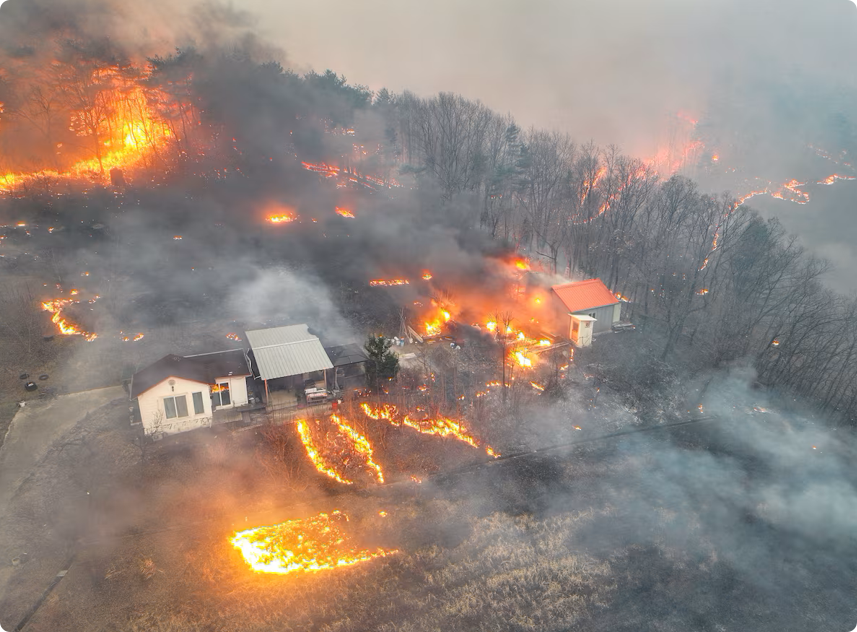 1bangbros's tweet photo. South Korea wildfires rage, forcing evacuations https://t.co/SYVgcBukop