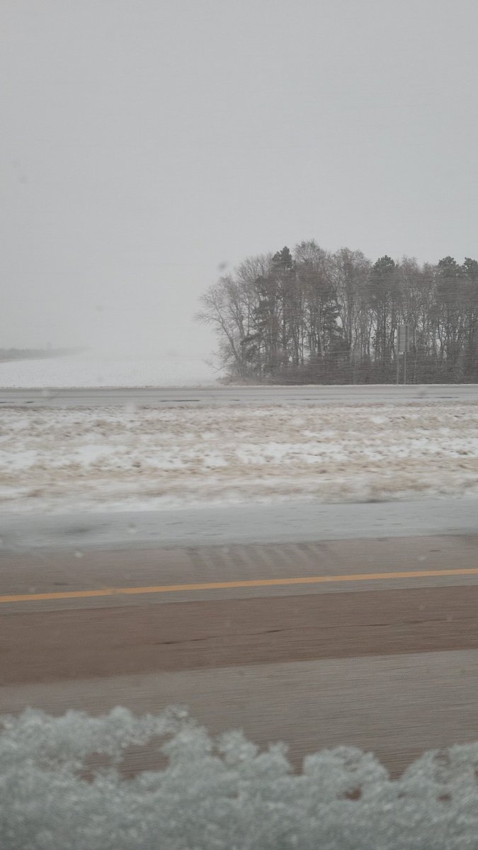 Calve in April they said