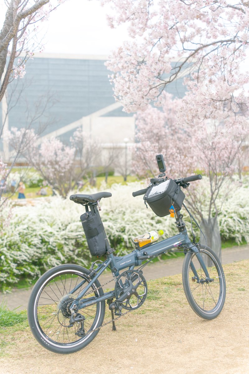 kikumi29q's tweet photo. 狭山池🌸にゆるポタしてきました。

#α7CII #DAHON #DEFTAR #おりたたぶ https://t.co/I7qntS2Ntg