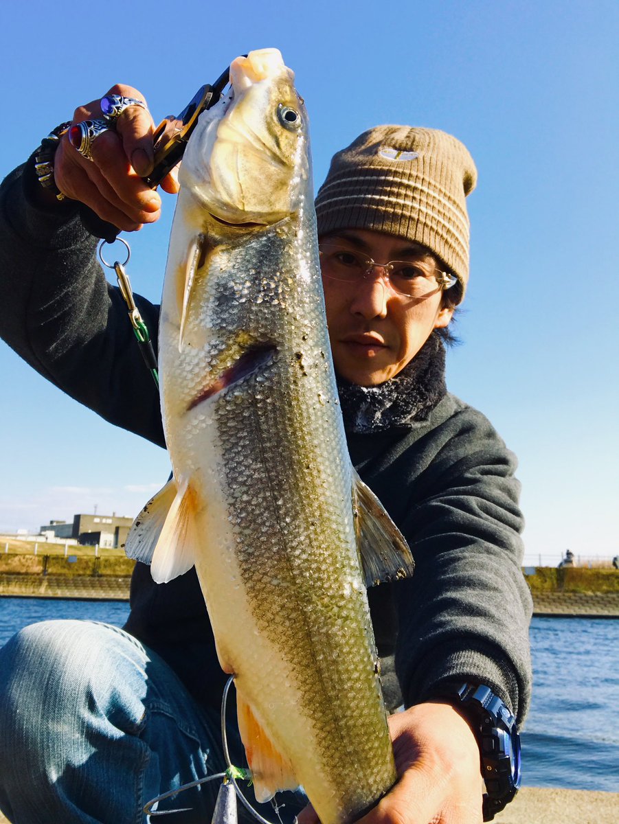 AI42537130's tweet photo. 荒川の巨大ウグイさん。60㌢でした。可愛いかったです。春は美しい魚達に出会えますね。 https://t.co/tymehqNm8B