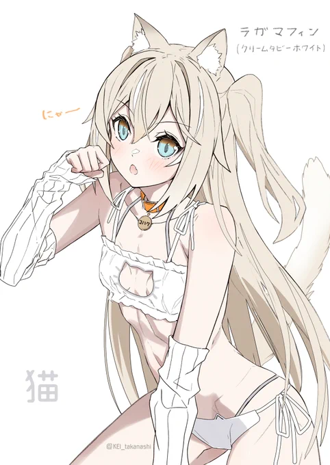 猫コハク oc 