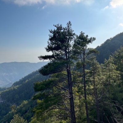 #NouvellePhotoDeProfil