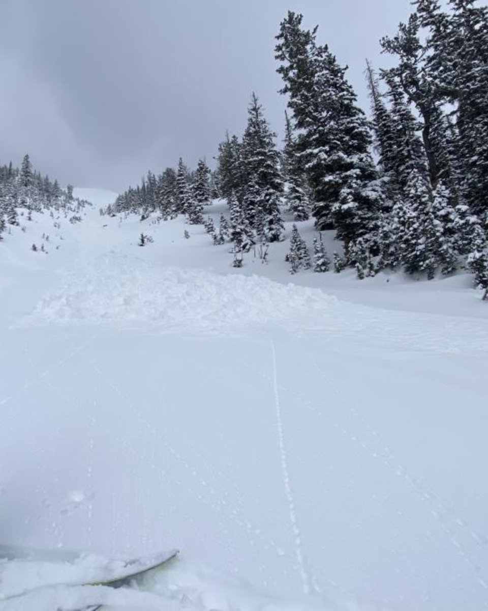 Avalanche forecast for 4/1 mtavalanche.com/forecast

The Bridger Range received over a foot of new snow in the last 12 hours, with heavy snowfall continuing and another foot expected by tomorrow morning. The danger is CONSIDERABLE.

📸Loose snow avalanche on Saddle Peak