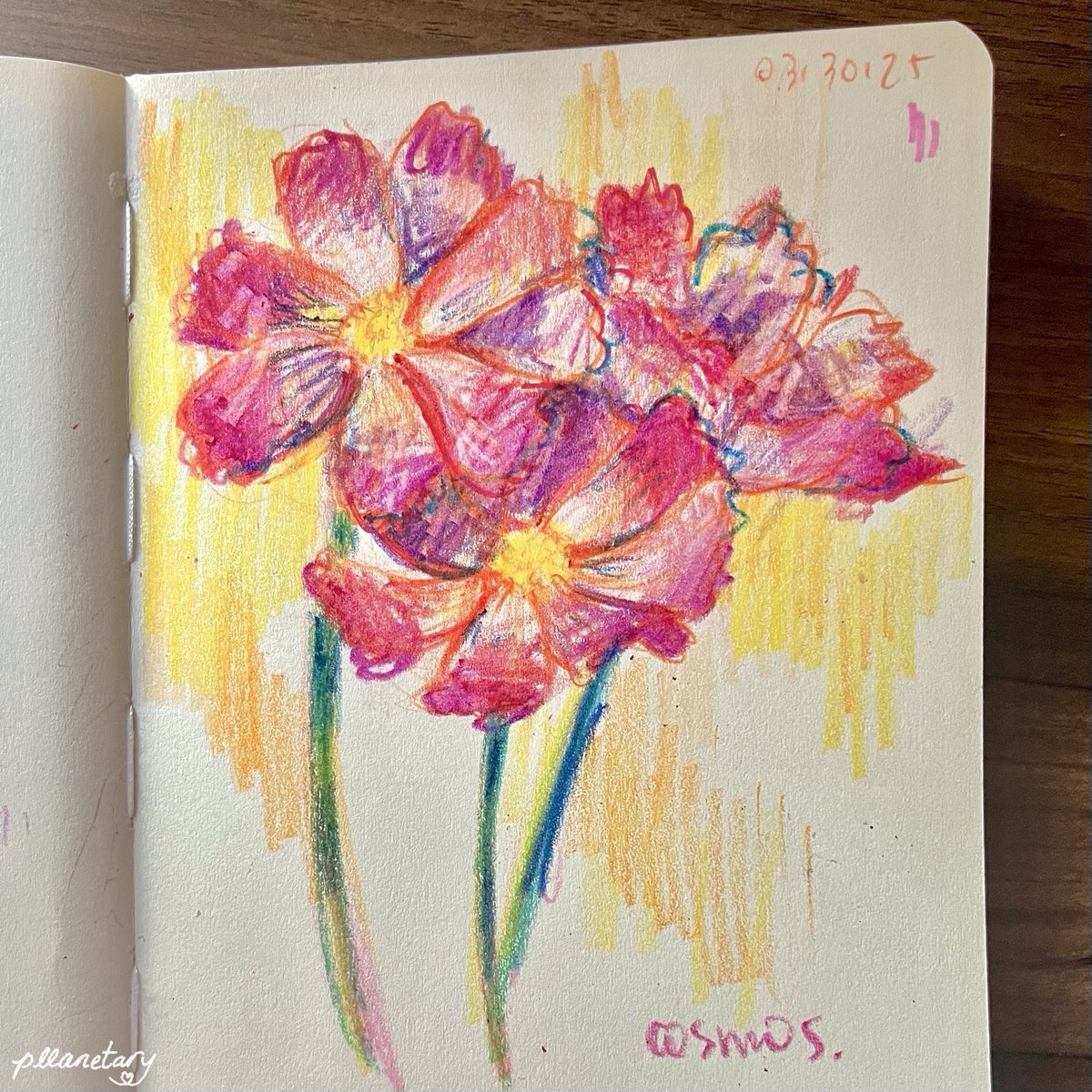 pllanetary's tweet photo. crayola flowers 🖍️ https://t.co/HtqJlNDK58