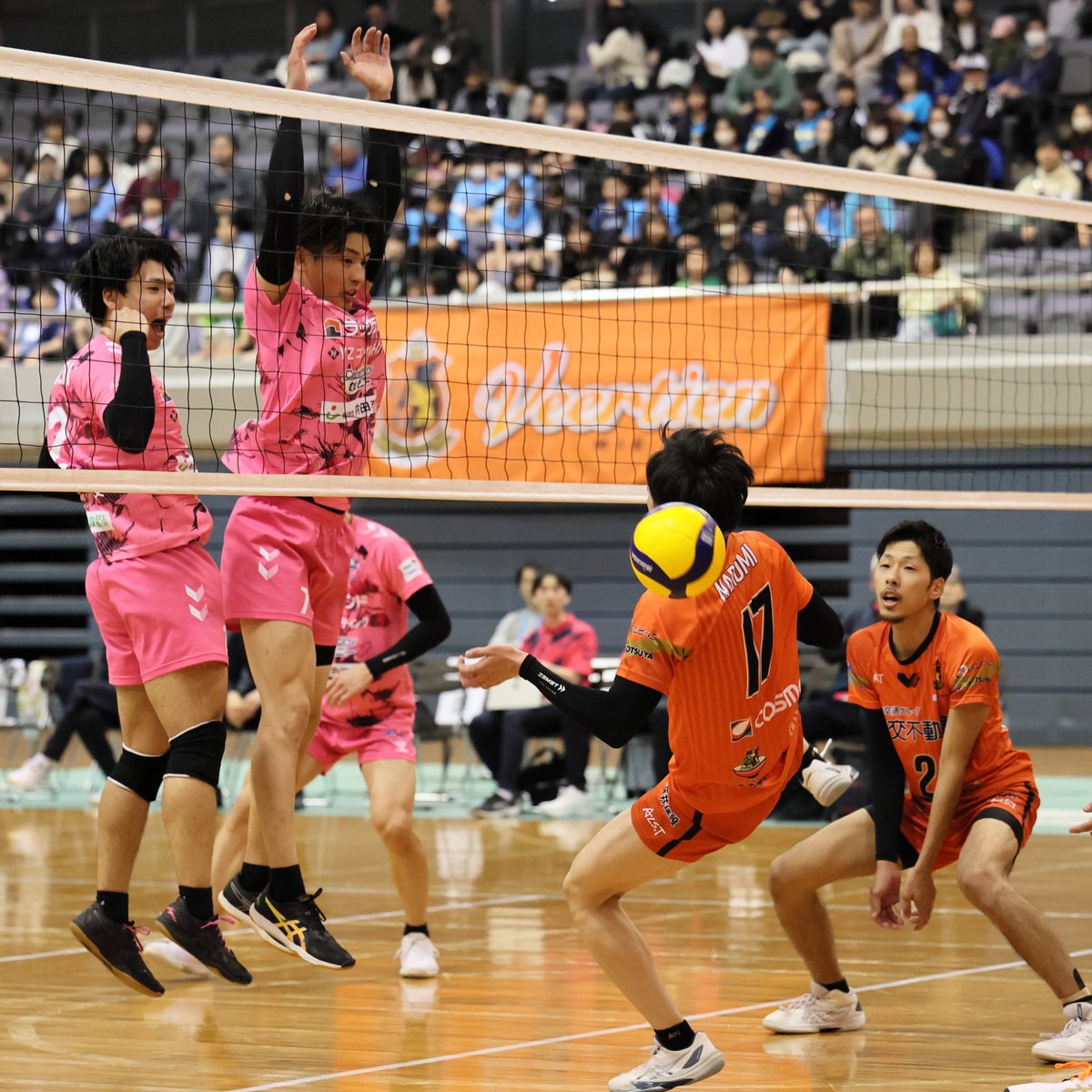 3/30 プレーオフ セミファイナル
ハラハラドキドキが続く試合に
写真を撮るの忘れがちだった
#埼玉アザレア 
#ヴィアティン三重 
#vleague 
#volleyball 
#プレーオフ