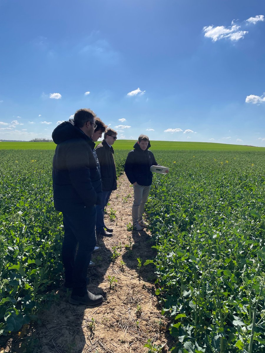 Groupe_ISSIPA's tweet image. Visite des essais colza sous le soleil pour une partie de l&apos;équipe commerciale ASEL🌱
On travaille déjà sur la prochaine campagne pour vous proposer les meilleures variétés ! 💡

#agriculture #colza #innovation
