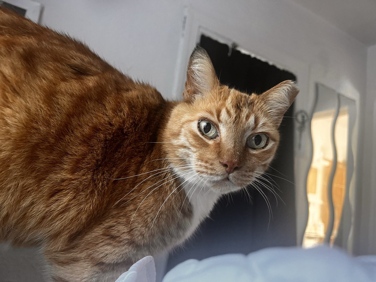 See previous post. Lol