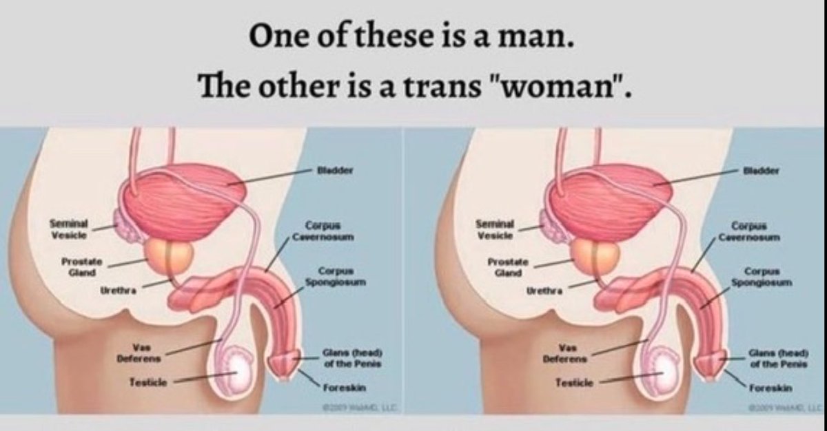 MaryCate Delvey tweet media