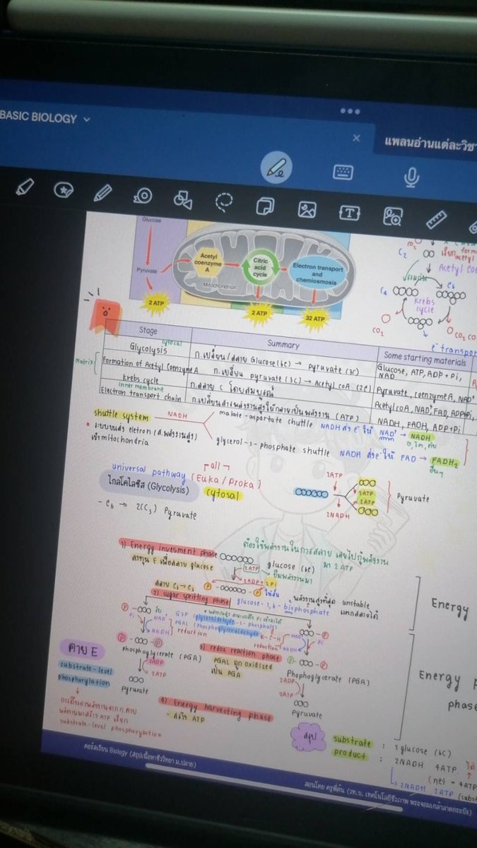 1/4 การหายใจระดับเซลล์บทนี้อ่อนสุดๆแต่่พอเรียนรอบนี้เข้าใจปิ๊งเลย ชั้นรักชีวะว่ะ เรียนตั้งนานลืมจับเวลา🥹