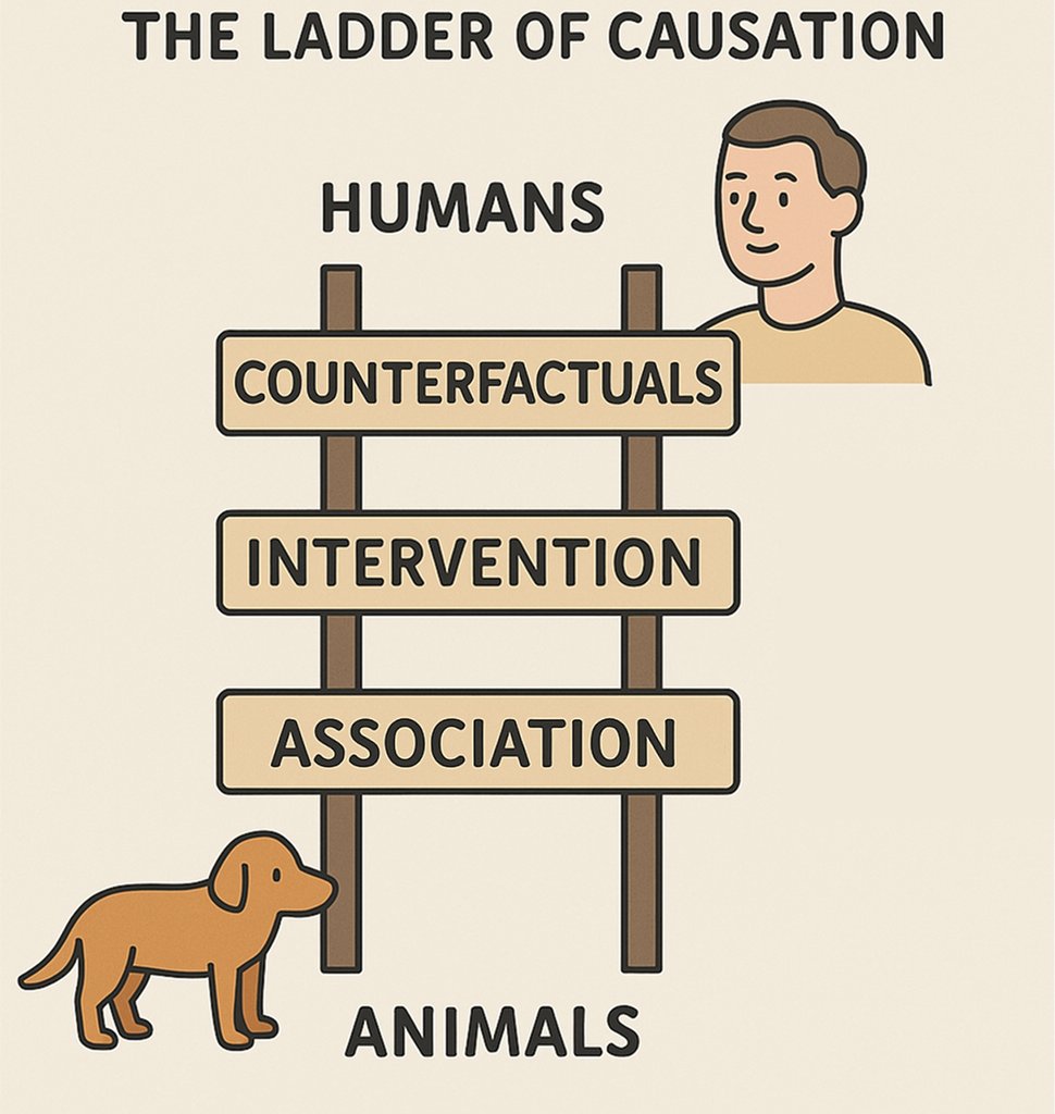 abel_ai_causal's tweet image. “The ladder of causation is what separates animals from humans and data fitting from causal reasoning.”
#CausalAI #AI