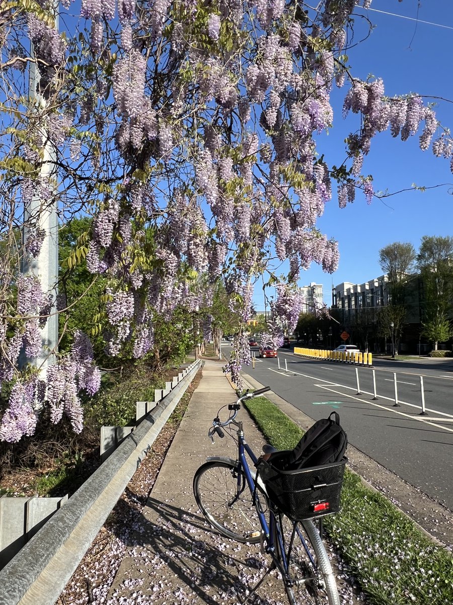 🌎 Happy Earth Month, Charlotte! There's no better way to kick off April than by joining the <a href="/30daysofbiking/">30 Days of Biking</a> challenge! Cycling isn't just fun and healthy — it's one of the most environmentally friendly ways to get around.
