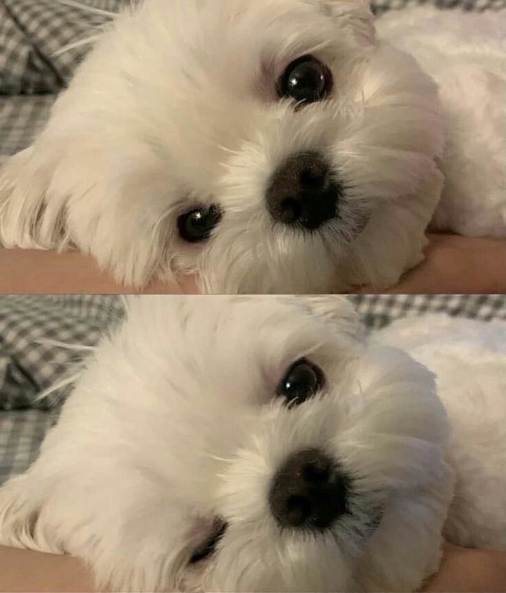 눈 마주쳤더니 윙크해줬어