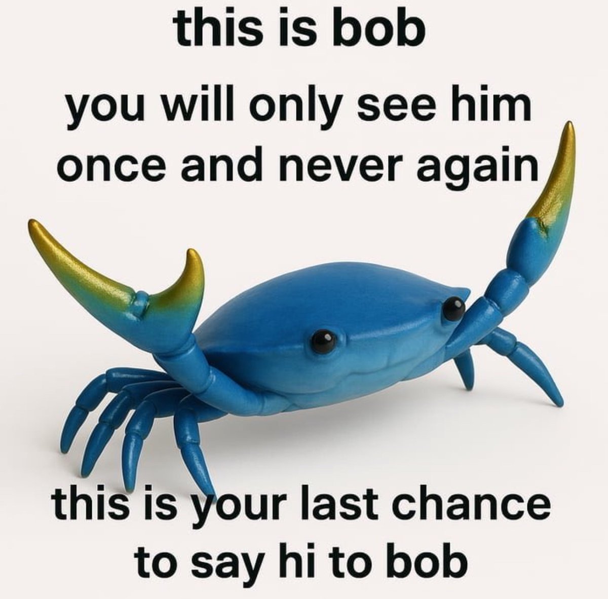NoContextHumans's tweet photo. Hi Bob https://t.co/47XP1ciMtH