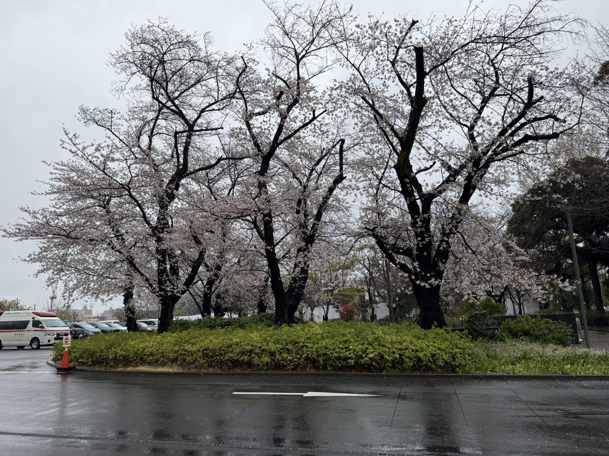 なぞのさんぺい tweet media