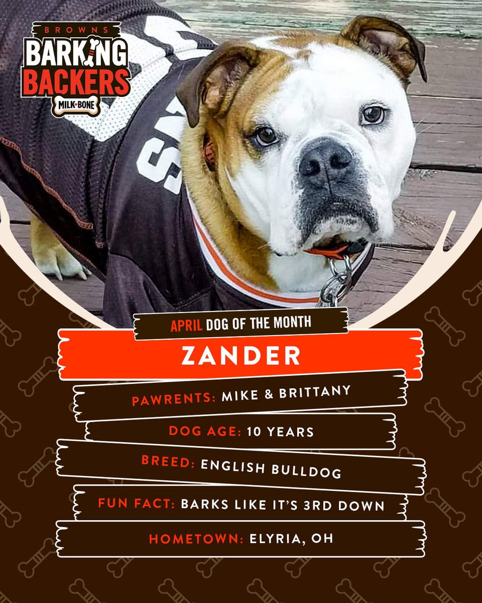 Browns's tweet photo. Introducing Zander, our April Dog of the Month!

We can't wait to reward this tough guy for his loyalty with some treats from our friends at @MilkBone.

Join Barking Backers for a chance to see your dog featured next month ➡️ https://t.co/oOZVH8rXfB https://t.co/Z4g3we24xO