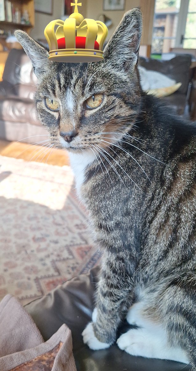 andrewb57's tweet image. King Brian is 18 today. All kneel.