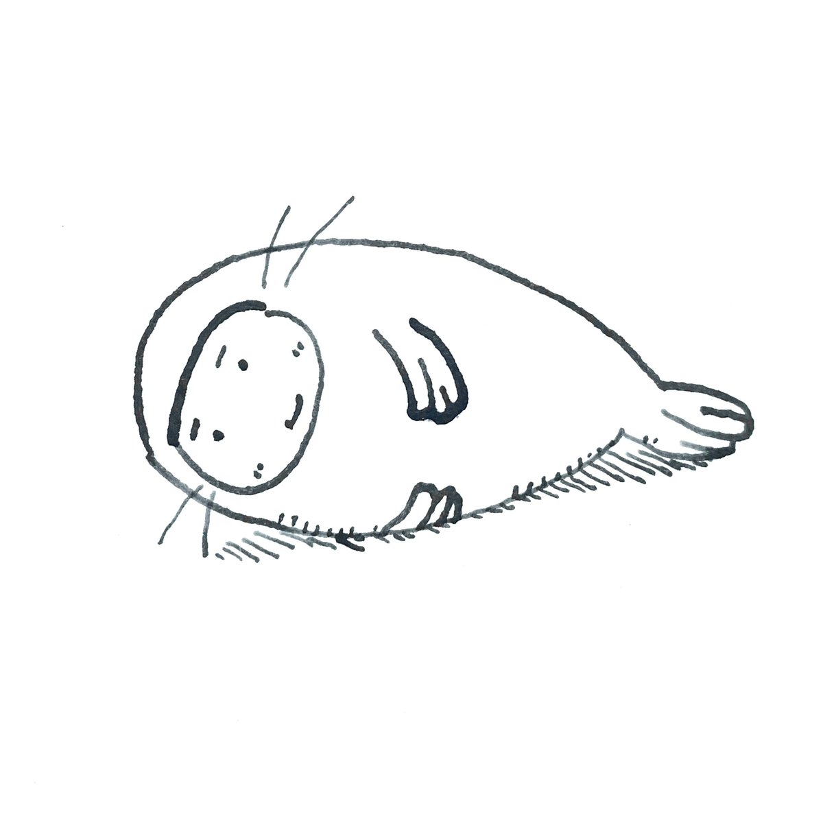 bonnyari33's tweet photo. ガラスペン製のあざらし

#イラスト https://t.co/XDDHFtQNXL