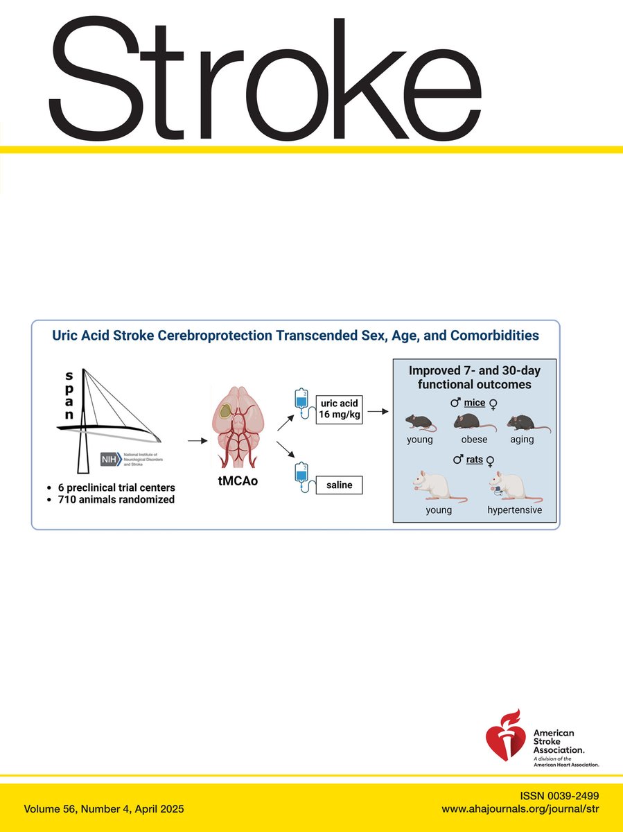 Stroke AHA/ASA (@strokeaha_asa) on Twitter photo 🧵#STROKE April Highlights are here:
🌟Cognitive decline became evident 10–13 years poststroke, emphasizing the long-term nature of stroke-related neurocognitive changes and vascular risk management poststroke.
<a href="/MitchElkind/">Mitchell Elkind</a> @profhayward <a href="/ST_Pendlebury/">Sarah Pendlebury</a> <a href="/hugoapariciomd/">Hugo J. Aparicio, MD, MPH, FAHA</a> <a href="/sudha_md/">Sudha Seshadri, MD</a> 🧵#STROKE April Highlights are here:
🌟Cognitive decline became evident 10–13 years poststroke, emphasizing the long-term nature of stroke-related neurocognitive changes and vascular risk management poststroke.
<a href="/MitchElkind/">Mitchell Elkind</a> @profhayward <a href="/ST_Pendlebury/">Sarah Pendlebury</a> <a href="/hugoapariciomd/">Hugo J. Aparicio, MD, MPH, FAHA</a> <a href="/sudha_md/">Sudha Seshadri, MD</a>