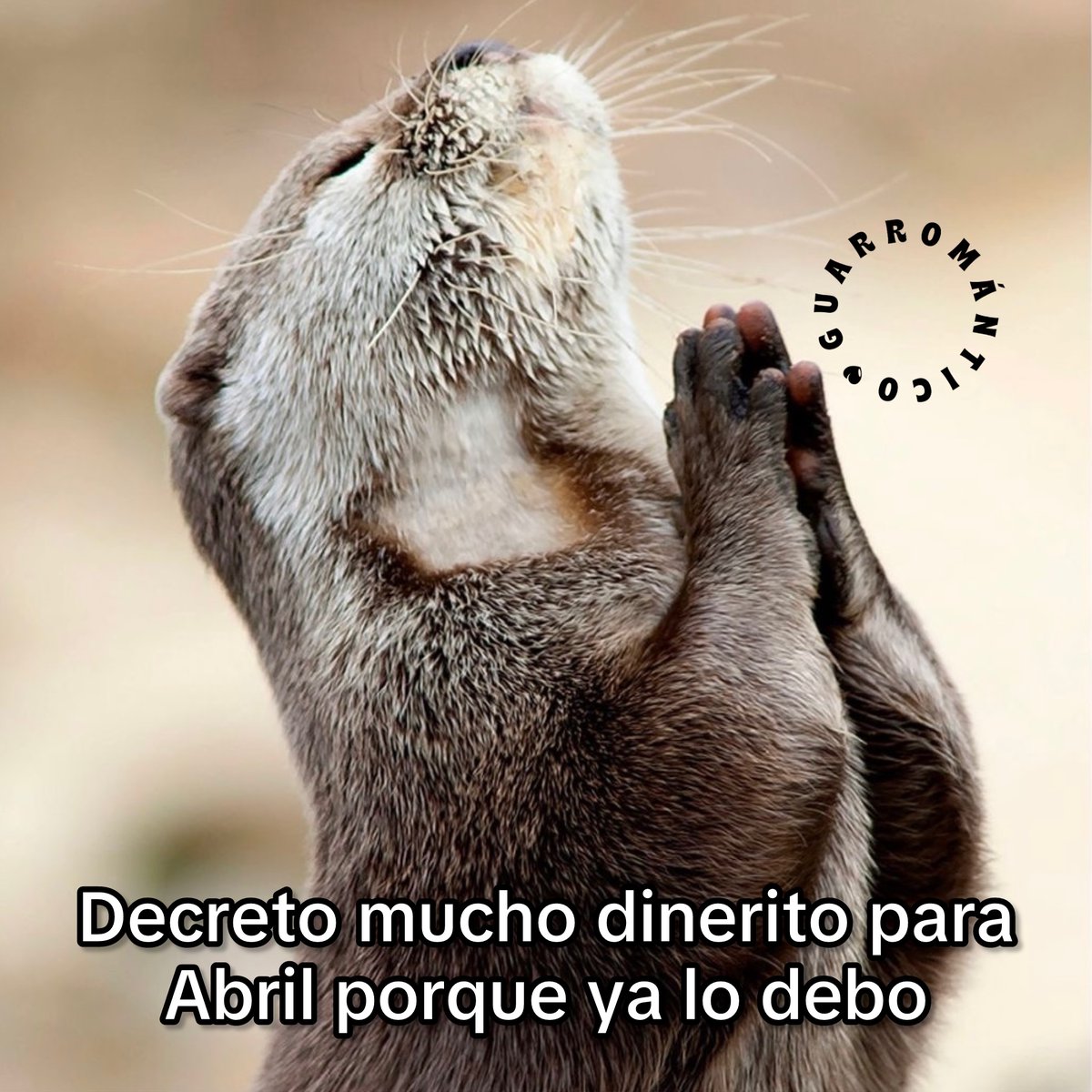 Guarromantico_'s tweet photo. Decreto. https://t.co/hy0Q5ppLsM
