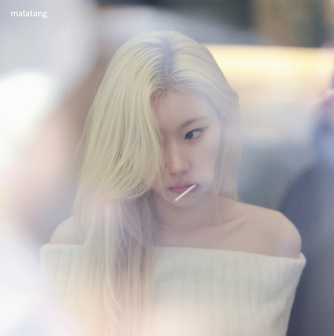 사랑 💟 (sʟᴏᴡ ᴏɴ ᴡᴅ) tweet media