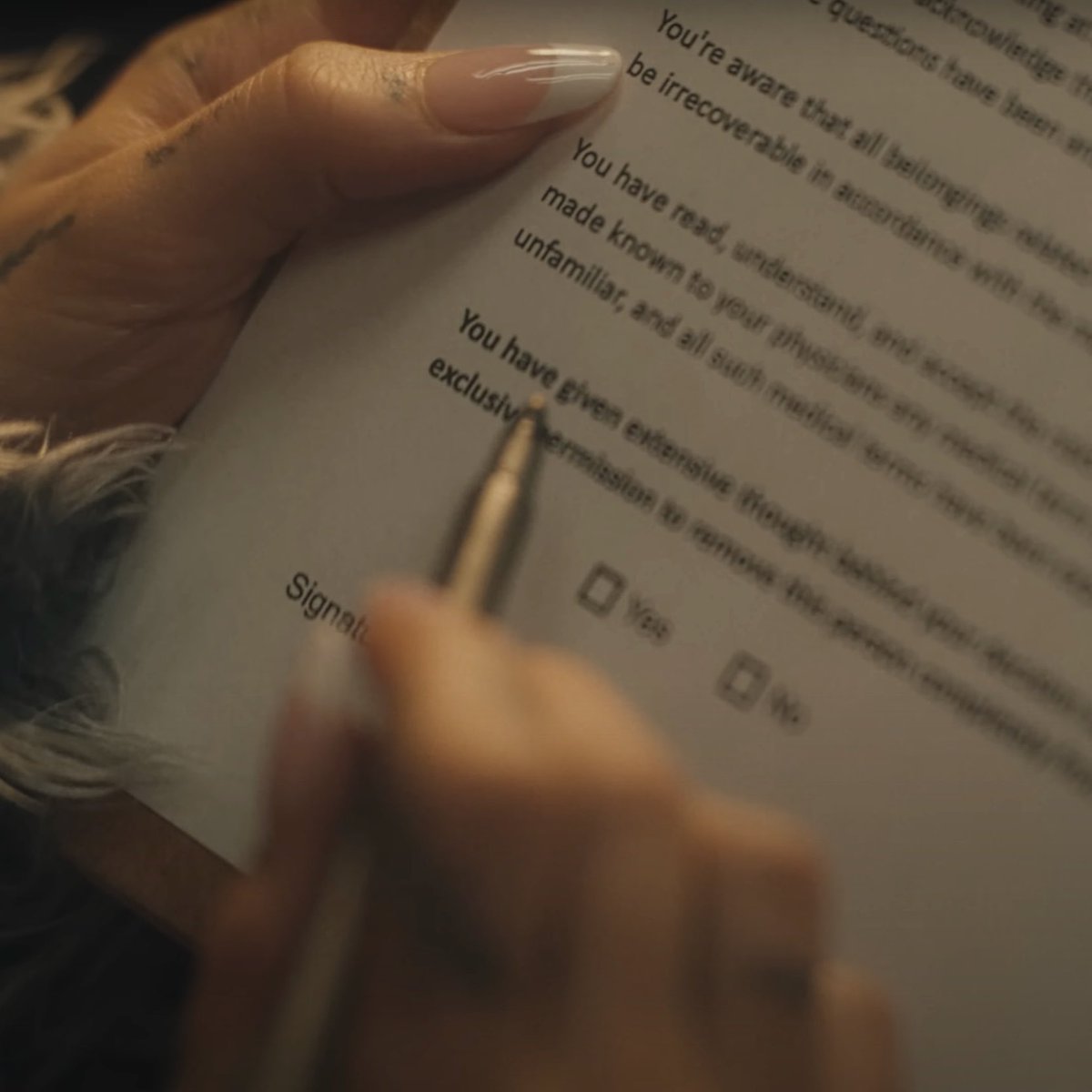 myronsmoonlight's tweet photo. peaches is ambidextrous?? https://t.co/dCHBNjYh0d