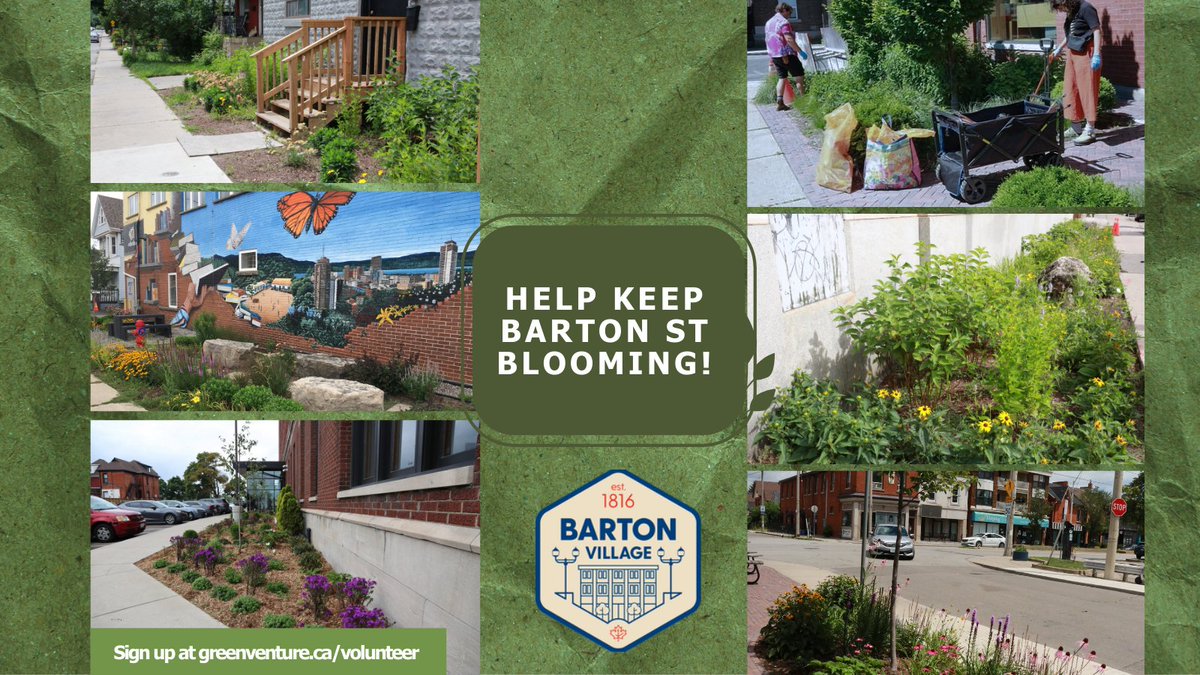 Take Action this Earth Day! 

Tues, April 22nd from 4:00 PM  - 6:30 PM. We'll be cleaning litter from 7 pollinator gardens along Barton Street to improve soil health, prevent pollution and keep our community beautiful. Everyone is welcome!

Sign up at: greenventure.ca/volunteer