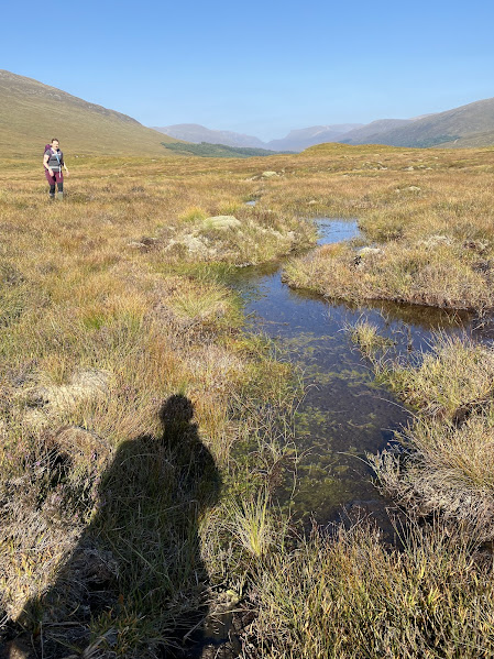 Countdown to our conference in Perth on Saturday.... Pat Batty will be talking about the success of new White-faced Darter &amp; Azure Hawker pools at Corrour Estate. Four days to go! Booking here: british-dragonflies.org.uk/event/scotland… Pls RT.