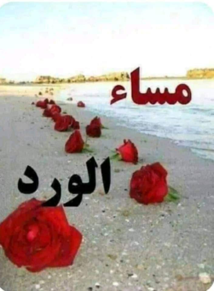 وسيم ابن اليمن (@lbrns354615) on Twitter photo 