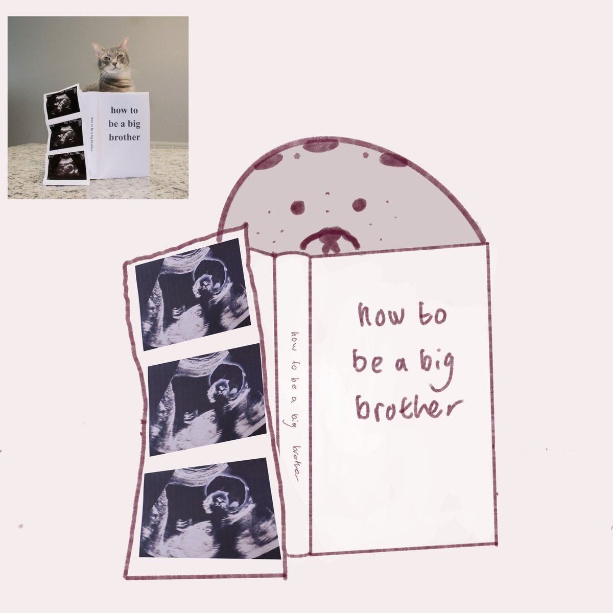 PHA1NLAND's tweet image. phey are getting ready for brotherhood 🥹🥹