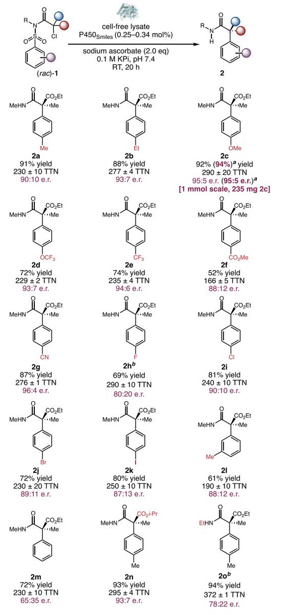 EnzymeChemistry's tweet image. Catalytic Enantioselective Smiles Rearrangement Enabled by the Directed Evolution of P450 Radical Aryl Migratases by @Wenzhen_Fu, Katherina Murcek, Jasper Chen, An Liu, Yunlong Zhao, Peng Liu (@pengliu_group), and Yang Yang (@yang2biocat) in @J_A_C_S pubs.acs.org/doi/10.1021/ja…