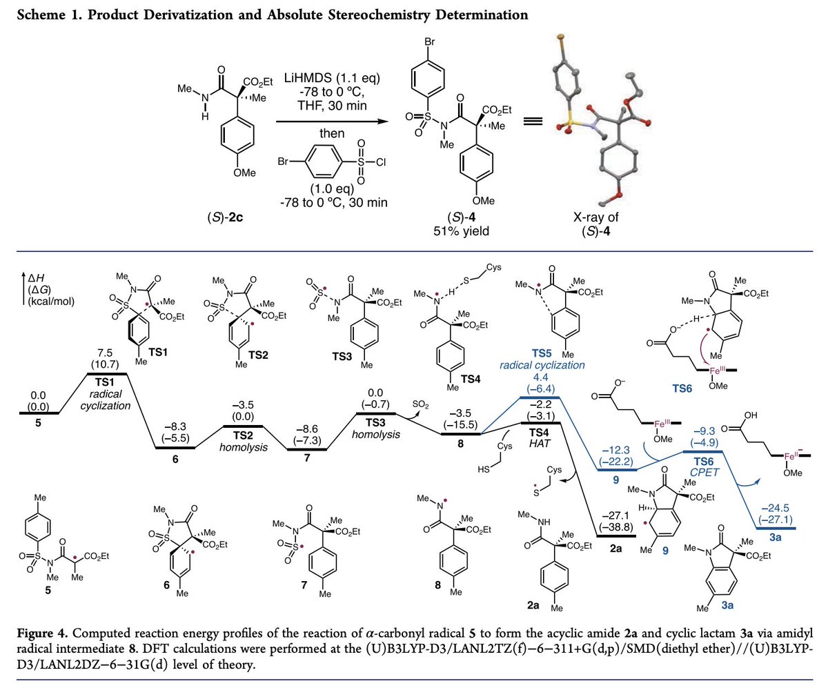 Enzyme Chemistry (@enzymechemistry) on Twitter photo Catalytic Enantioselective Smiles Rearrangement Enabled by the Directed Evolution of P450 Radical Aryl Migratases by <a href="/Wenzhen_Fu/">Wenzhen Fu</a>, Katherina Murcek, Jasper Chen, An Liu, Yunlong Zhao, Peng Liu (<a href="/pengliu_group/">Peng Liu Group</a>), and Yang Yang (<a href="/yang2biocat/">Yang Yang</a>) in <a href="/J_A_C_S/">J. Am. Chem. Soc.</a> pubs.acs.org/doi/10.1021/ja… Catalytic Enantioselective Smiles Rearrangement Enabled by the Directed Evolution of P450 Radical Aryl Migratases by <a href="/Wenzhen_Fu/">Wenzhen Fu</a>, Katherina Murcek, Jasper Chen, An Liu, Yunlong Zhao, Peng Liu (<a href="/pengliu_group/">Peng Liu Group</a>), and Yang Yang (<a href="/yang2biocat/">Yang Yang</a>) in <a href="/J_A_C_S/">J. Am. Chem. Soc.</a> pubs.acs.org/doi/10.1021/ja…