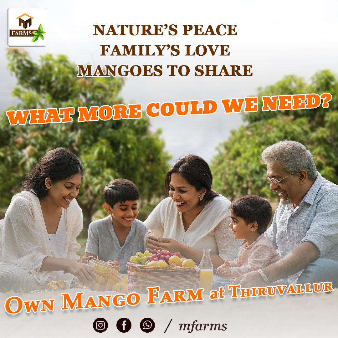 MFarms5's tweet photo. A mango farm in Thiruvallur: The perfect blend of love, nature, and sweetness!!

#mfarms #mangofarmland #farmlandforsale #farmland #mangofarm #nature #naturelover #enjoylife #enjoythemoment #peace #getaway https://t.co/Es53dOumqg